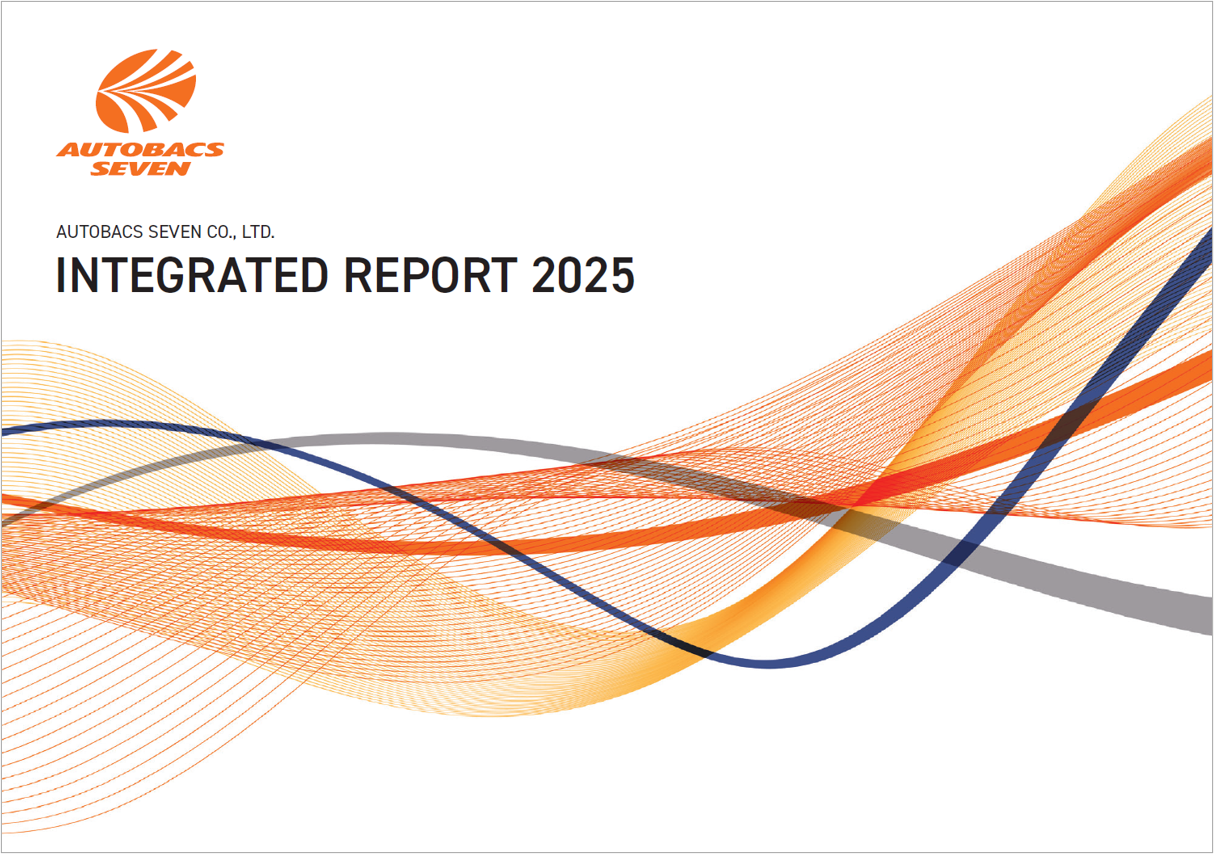 PDF with interactive index tabs (12.5 MB)